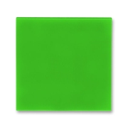 Рамка цвет зеленый