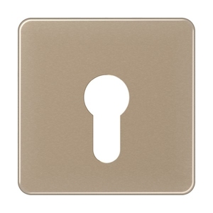 Клавиша выключателя жалюзи поворотный с ключем цвет золотая бронза
