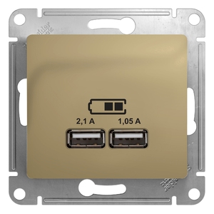 Розетка USB двойная цвет титан