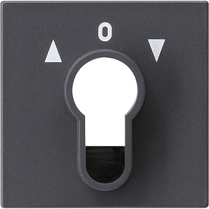 Клавиша выключателя жалюзи поворотный с ключом цвет антрацит