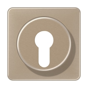 Клавиша выключателя жалюзи поворотный с ключем цвет золотая бронза